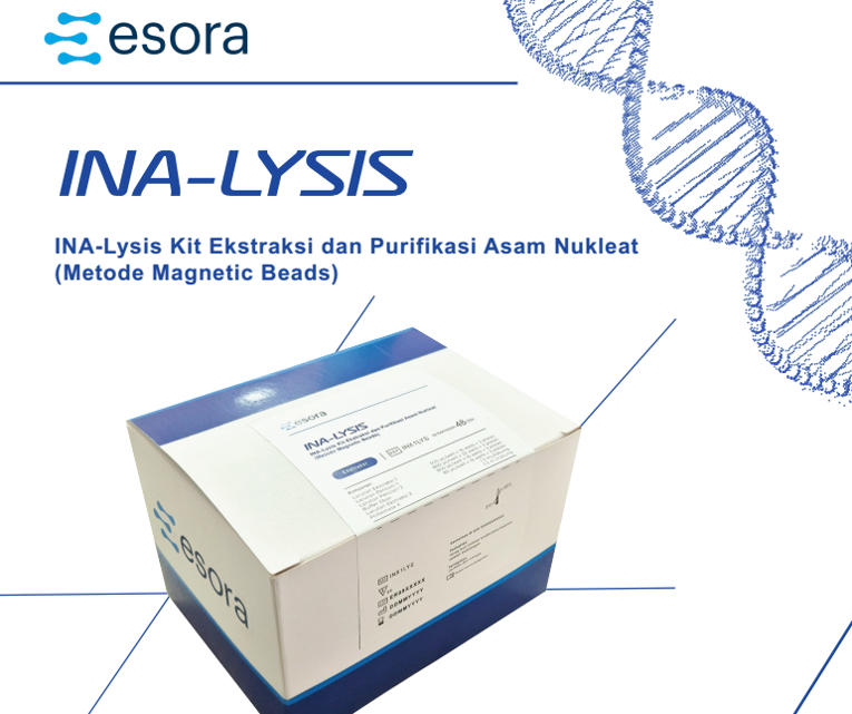 INA-Lysis
